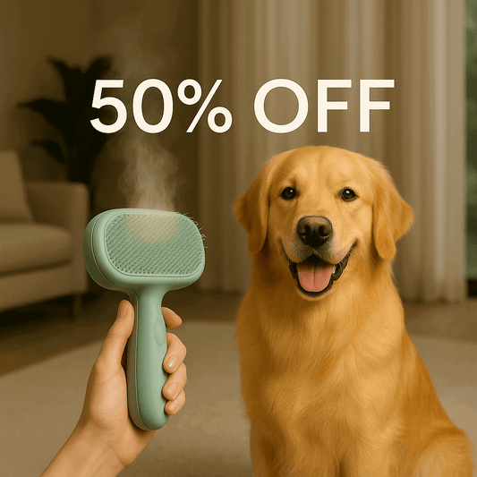 Rechargeable Steam Grooming Comb for Cats and Dogs with Humidifier – Pet Brush UAE